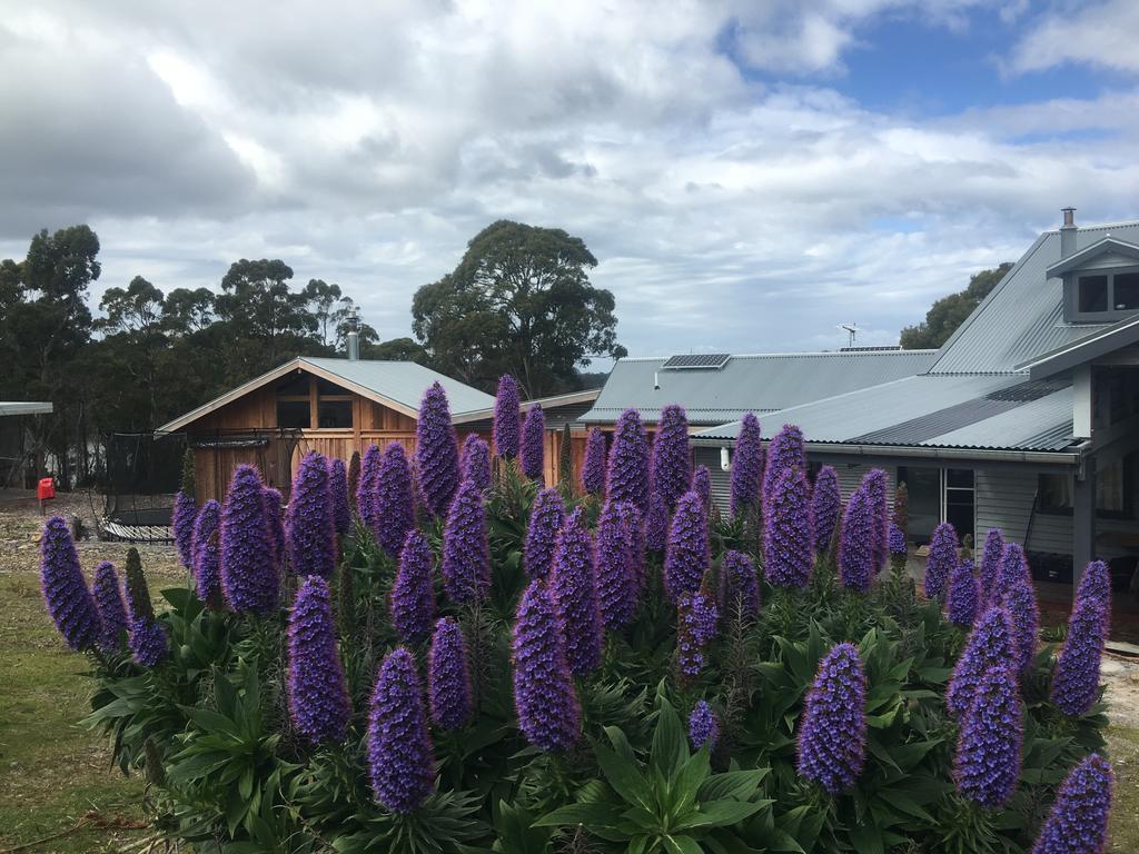 Bruny Island Lodge South Bruny Eksteriør billede